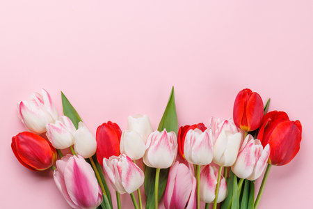 Pastel colorful tulips grace the table, providing a serene and vibrant backdrop, perfect for spring celebrations or simple joysの写真素材