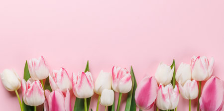 Pastel colorful tulips grace the table, providing a serene and vibrant backdrop, perfect for spring celebrations or simple joysの写真素材