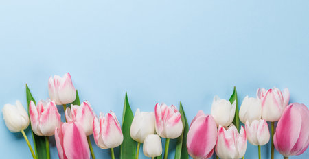 Pastel colorful tulips grace the table, providing a serene and vibrant backdrop, perfect for spring celebrations or simple joysの写真素材