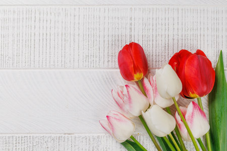 Pastel colorful tulips grace the table, providing a serene and vibrant backdrop, perfect for spring celebrations or simple joysの写真素材