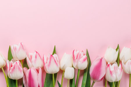 Pastel colorful tulips grace the table, providing a serene and vibrant backdrop, perfect for spring celebrations or simple joysの写真素材