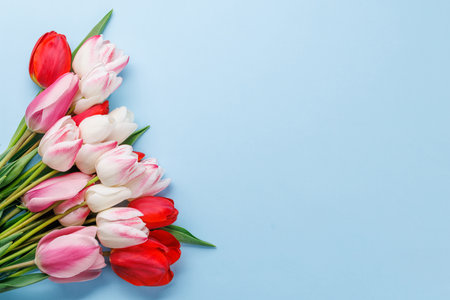 Pastel colorful tulips grace the table, providing a serene and vibrant backdrop, perfect for spring celebrations or simple joysの写真素材