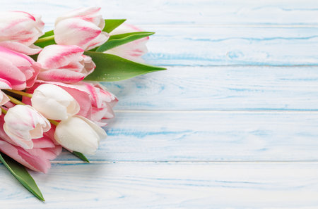 Pastel colorful tulips grace the table, providing a serene and vibrant backdrop, perfect for spring celebrations or simple joysの写真素材