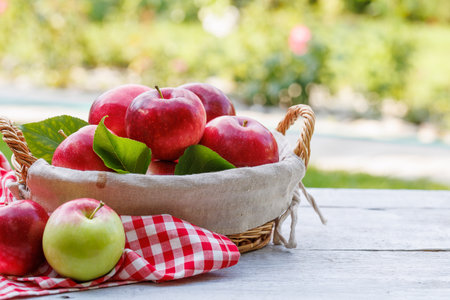 Basket with fresh red apples on the garden table with copy spaceの写真素材