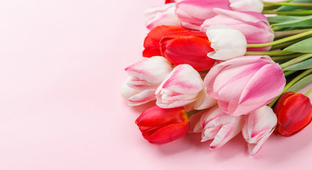 Pastel colorful tulips grace the table, providing a serene and vibrant backdrop, perfect for spring celebrations or simple joysの写真素材