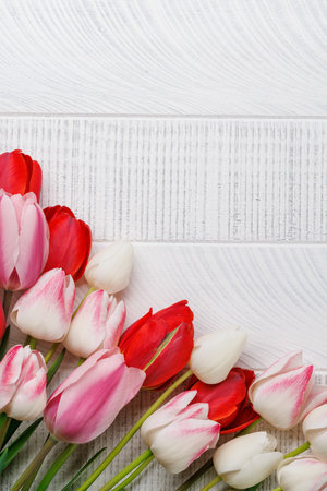 Pastel colorful tulips grace the table, providing a serene and vibrant backdrop, perfect for spring celebrations or simple joysの写真素材