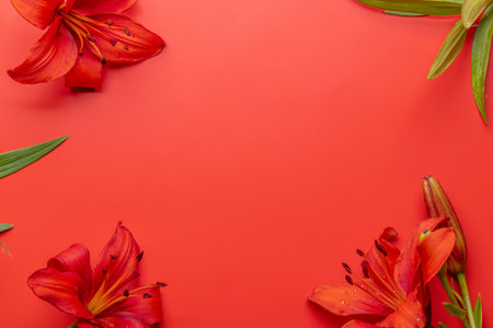 Red lily flowers set against a striking red background, showing vibrant elegance and bold beauty. Flat lay with copy space, perfect for a template or mockupの写真素材