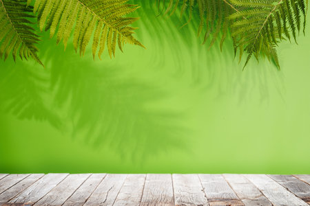 Template with empty table and wall with leaves shadow, perfect for product presentation and mockupの写真素材