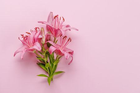 Pink lily flowers set against a striking pink background, showing vibrant elegance and bold beauty. Flat lay with copy space, perfect for a template or mockupの写真素材