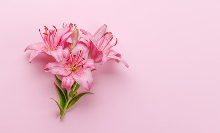 Pink lily flowers set against a striking pink background, showing vibrant elegance and bold beauty. Flat lay with copy space, perfect for a template or mockupの写真素材