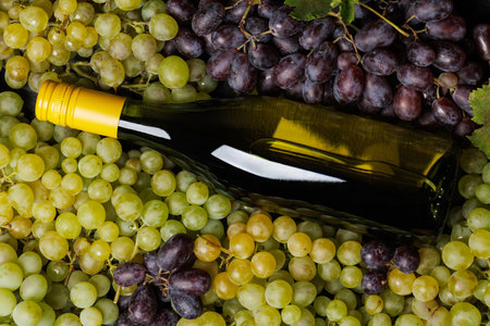 A wine bottle lies elegantly over a bed of fresh grapes, showing a rich assortment of green and...