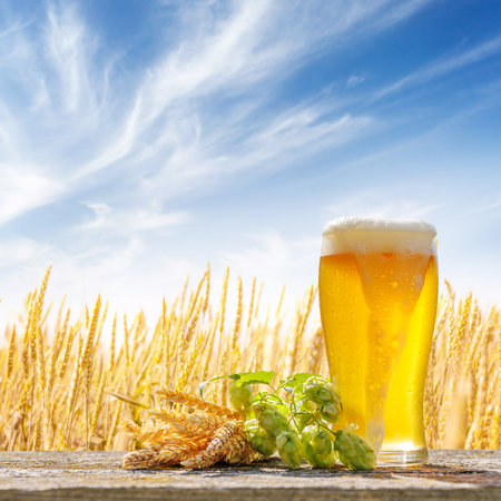 A glass of cold beer sits on a table with a vast rye field in the background, capturing a rustic, refreshing countryside vibeの写真素材