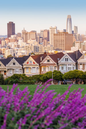 Pastel-colored evening photo of the Painted Ladies in San Francisco, showing the soft hues of twilight over the iconic Victorian homes with the city skyline in the distance and flowers in foregroundの写真素材