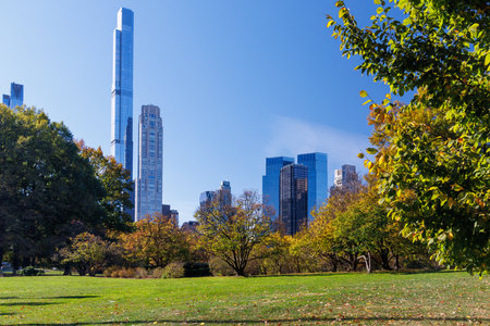 Central Park in New York City on a sunny autumn day, with vibrant fall foliage and a clear blue sky, showcasing the park natural beautyの写真素材