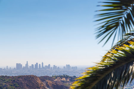 Los Angeles skyline with iconic skyscrapers on the horizon framed by vibrant palm leaves in the foreground, under a clear, sunny skyの写真素材