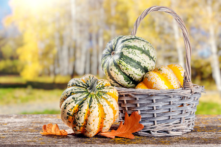 Autumn-themed food arrangement with pumpkins and autumn leaves on a table, creating a cozy seasonal atmosphereの写真素材