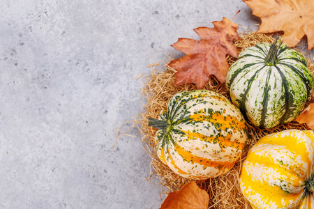 Autumn-themed arrangement with pumpkins and autumn leaves, creating a cozy seasonal atmosphere. Includes copy space for your contentの写真素材