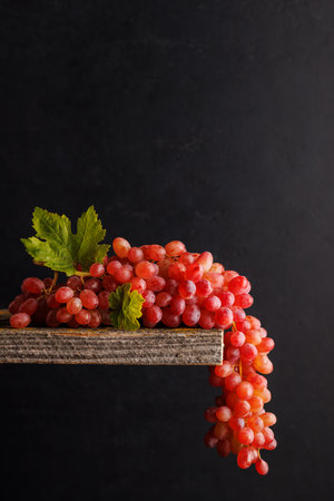 Colorful grapes against a dark background with copy spaceの写真素材