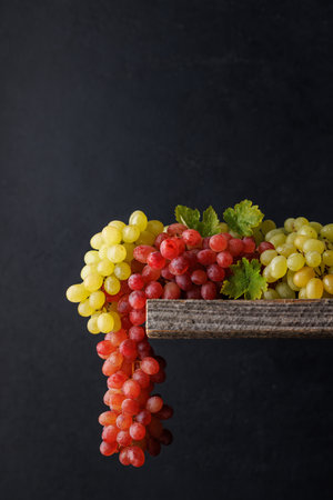 Colorful grapes against a dark background with copy spaceの写真素材