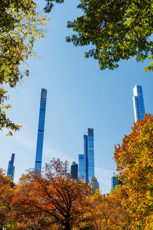 Central Park in New York City on a sunny autumn day, with vibrant fall foliage and a clear blue sky, showcasing the park natural beautyの写真素材