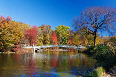Central Park in New York City on a sunny autumn day, with vibrant fall foliage and a clear blue sky,...