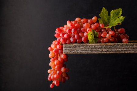 Colorful grapes against a dark background with copy spaceの写真素材