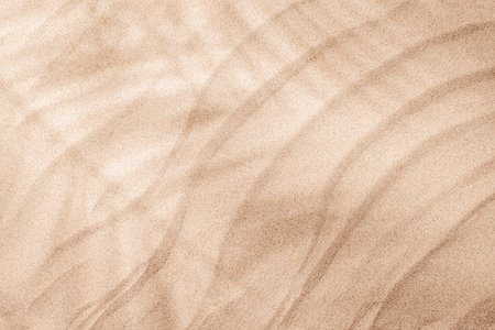 A tropical summer background featuring soft beach sand with delicate palm leaf shadows, evoking a warm and relaxing seaside atmosphereの写真素材
