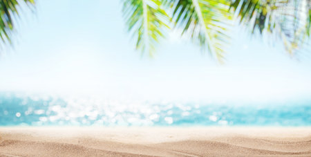 A tranquil seaside landscape with soft-focus palm leaves in the foreground and a golden sandy beach under the warm sunlight, creating a relaxing tropical vibeの写真素材