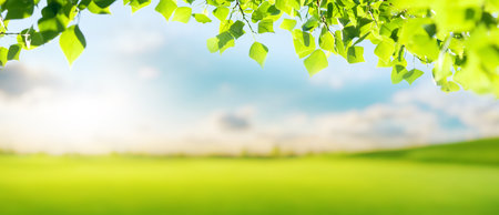 A bright and serene summer landscape featuring a lush green field under a clear blue sky, framed by vibrant tree leaves in the foreground, creating a peaceful and refreshing sceneの写真素材