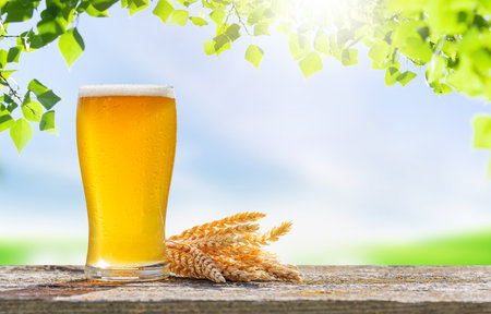 A glass of cold beer placed on a table with a soft outdoor bokeh background, creating a refreshing and relaxed atmosphereの写真素材