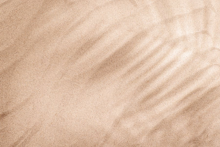 A tropical summer background featuring soft beach sand with delicate palm leaf shadows, evoking a warm and relaxing seaside atmosphereの写真素材
