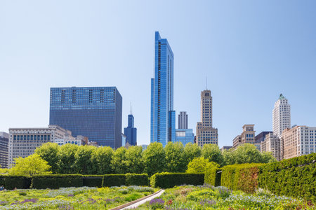 Sunny view of downtown Chicago with iconic skyscrapers rising above a lush green park in the foreground, showcasing the city's vibrant blend of nature and architectureの写真素材