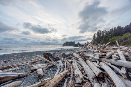 Pacific Ocean coast near Olympic National Park in Washington, featuring rugged shoreline and...