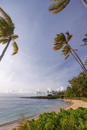 Beautiful Maui landscape in Hawaii featuring a sandy beach, turquoise sea, and lush greenery