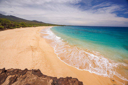 Beautiful Maui landscape in Hawaii featuring a sandy beach, turquoise sea, and lush greeneryの写真素材