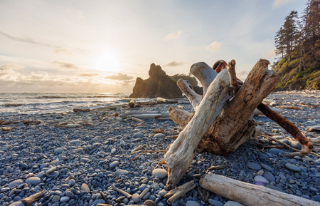 Pacific Ocean coast near Olympic National Park in Washington, featuring rugged shoreline and dramatic seascapesの写真素材