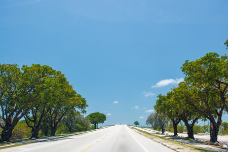 Highway stretching into the sky, creating a surreal and dramatic perspective under open skies