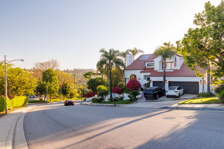 Suburban street with houses in the Los Angeles area, lined with trees under a sunny skyの写真素材