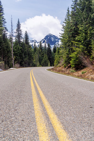Scenic road in Mount Rainier National Park with fir trees on both sides and a snowy mountain on the...