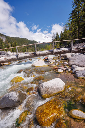 Majestic Mount Rainier rising above forests and river in the national park under a sunny skyの写真素材