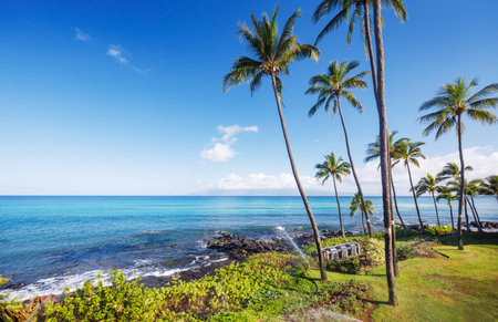 Beautiful Maui landscape in Hawaii featuring a sandy beach, turquoise sea, and lush greeneryの写真素材