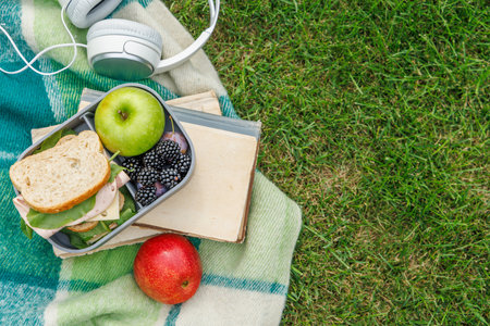 Picnic on a lawn with books, sandwiches and fruits on a sunny day