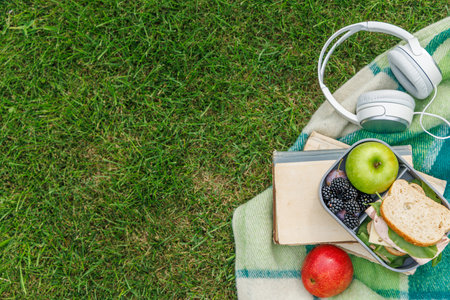 Picnic on a lawn with books, sandwiches and fruits on a sunny day