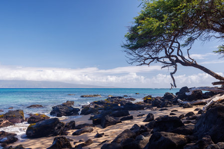 Beautiful Maui landscape in Hawaii featuring a sandy beach, turquoise sea, and lush greenery