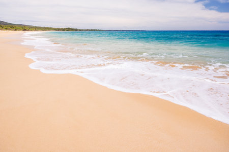 Sunny beach in Hawaii with golden sand, clear blue water, and palm trees under a bright skyの写真素材