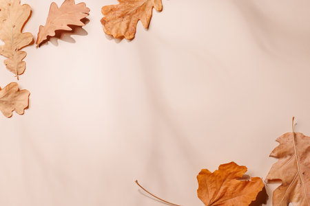 Beige background surrounded by autumn yellow leaves, seasonal backdrop. Flat lay with copy space