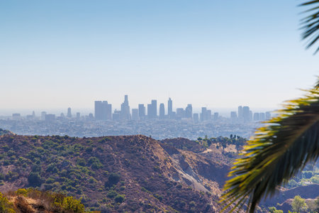 Los Angeles skyline with iconic skyscrapers on the horizon framed by vibrant palm leaves in the...