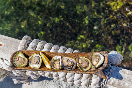Fresh oysters on a rustic wooden plate with the sea in the backgroundの写真素材