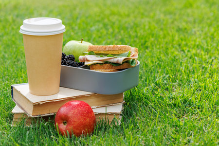 Romantic picnic on a sunny lawn with books, fresh sandwiches, fruits, and coffeeの写真素材