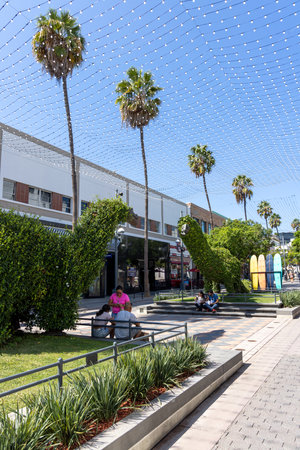 Los Angeles, California, United States - October 01 2022: View of the Santa Monica area in Los Angeles with coastal atmosphere, palm trees and city streets near the Pacific Oceanのeditorial素材